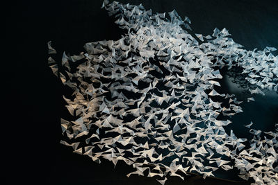 High angle view of origami against black background