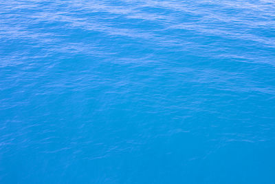 High angle view of swimming pool