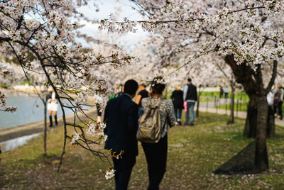 Rear view of people walking on flower tree