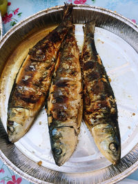 High angle view of fish on table