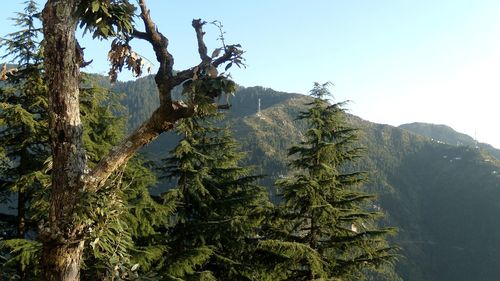 Scenic view of mountains against clear sky