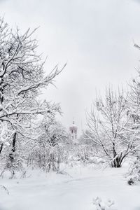 Snow covered trees against sky