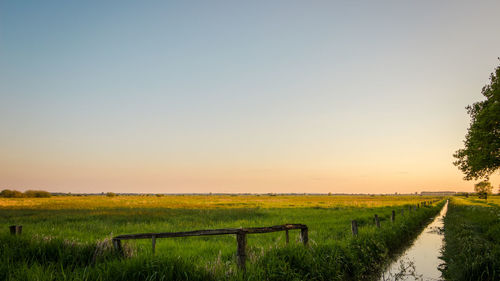 Scenic view of agricultural field against clear sky