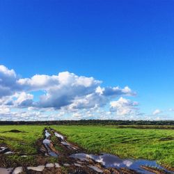 Green landscape against blue sky