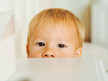 Portrait of cute boy using laptop at home