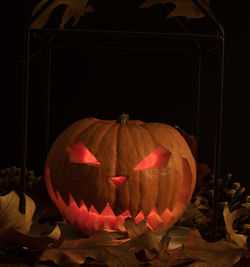 Close-up of pumpkin against black background