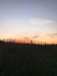 Scenic view of field against sky at sunset