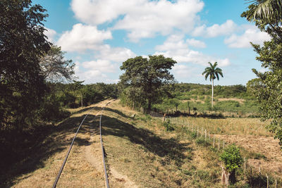 Railroad tracks amidst trees on field against sky
