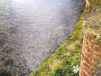 Full frame shot of water