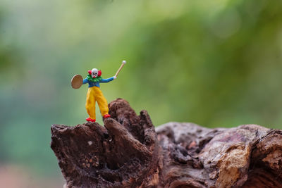 Close-up of toy on rock