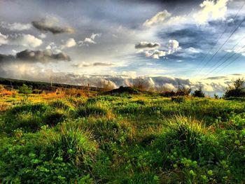 Scenic view of field against cloudy sky