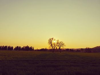 Scenic view of field against clear sky during sunset