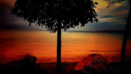 Palm tree on beach against sky during sunset