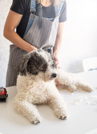 Rear view of woman with dog standing at home