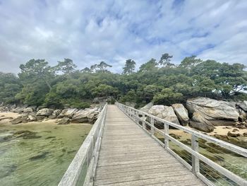 Bridge amidst plants and trees against sky