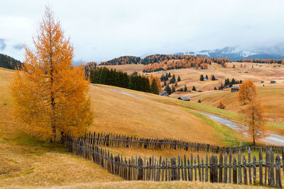 Scenic view of field against sky during autumn