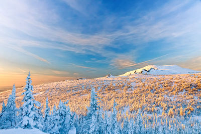 Scenic view of snow covered landscape against sky