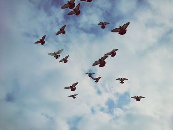 Low angle view of airplane flying in cloudy sky