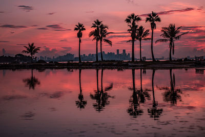 Reflection of palm trees in lake against sky during sunset