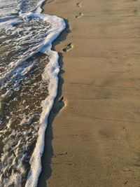 Sand dune on beach