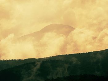 Scenic view of forest against sky during sunset