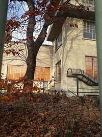 Bare tree and buildings against sky during autumn