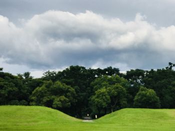 Trees on field against sky