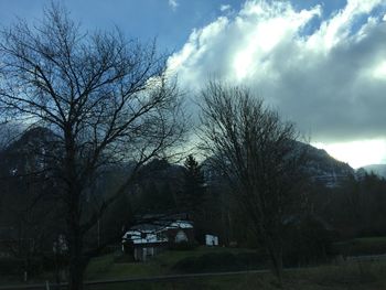 Bare trees against cloudy sky