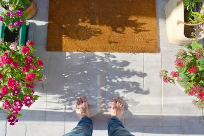 Low section of person with potted plants and doormat