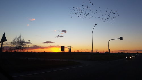 Silhouette birds flying against sky during sunset