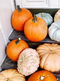 High angle view of pumpkins