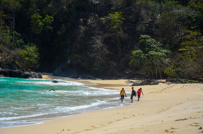 People walking on beach against trees