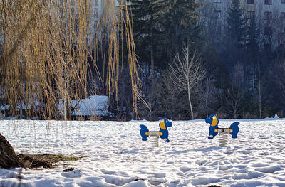 People on snow covered field in forest