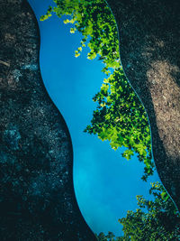 High angle view of trees against sky