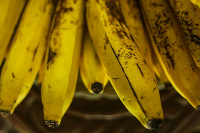 Close-up of bananas