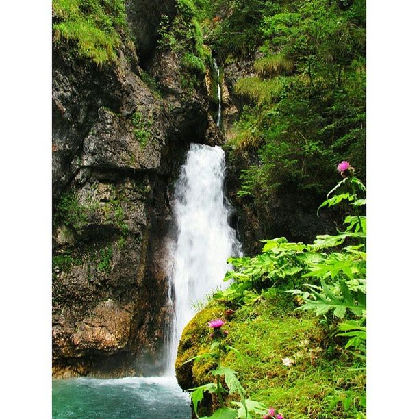 waterfall, water, motion, transfer print, flowing water, flowing, beauty in nature, rock - object, long exposure, scenics, nature, auto post production filter, forest, tree, rock, plant, green color, rock formation, growth, splashing