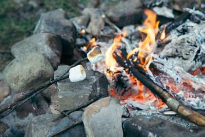 Marshmallows at sticks. camping fire on background. camping