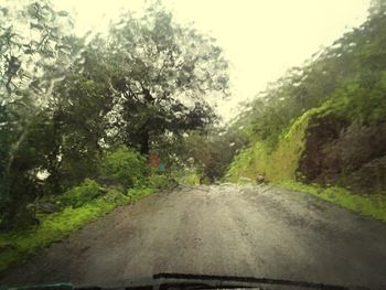 Road passing through forest