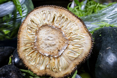 Close-up of fruit