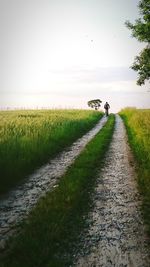 Rear view of man cycling by field against sky