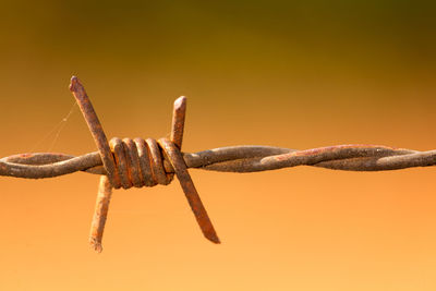 Close-up of barbed wire fence against orange background