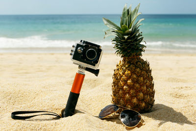 Close-up of pineapple on beach