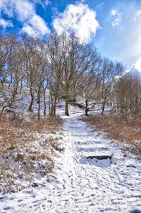 Bare trees on snow covered landscape against sky