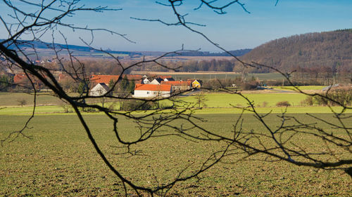 Bare trees on field against sky
