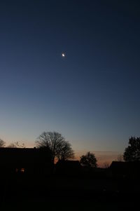 Silhouette trees against clear sky at night