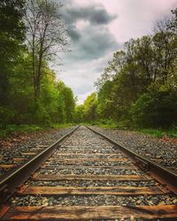 View of railway tracks along trees