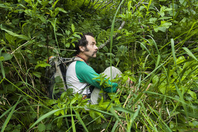 Man bushwacks thick vegetation on hike in kenai peninsula, alaska