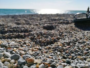 Surface level of rocks on beach