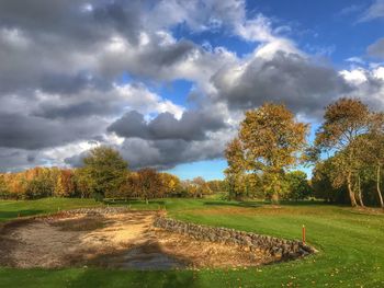 Trees on field against sky