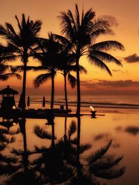 Silhouette palm trees at sunset